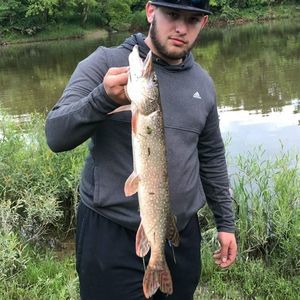 Meet your Posher, Eric